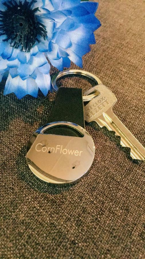 Cornflower Apartment Хайдусобосло Экстерьер фото